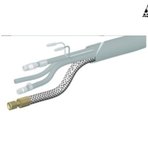 QA0019